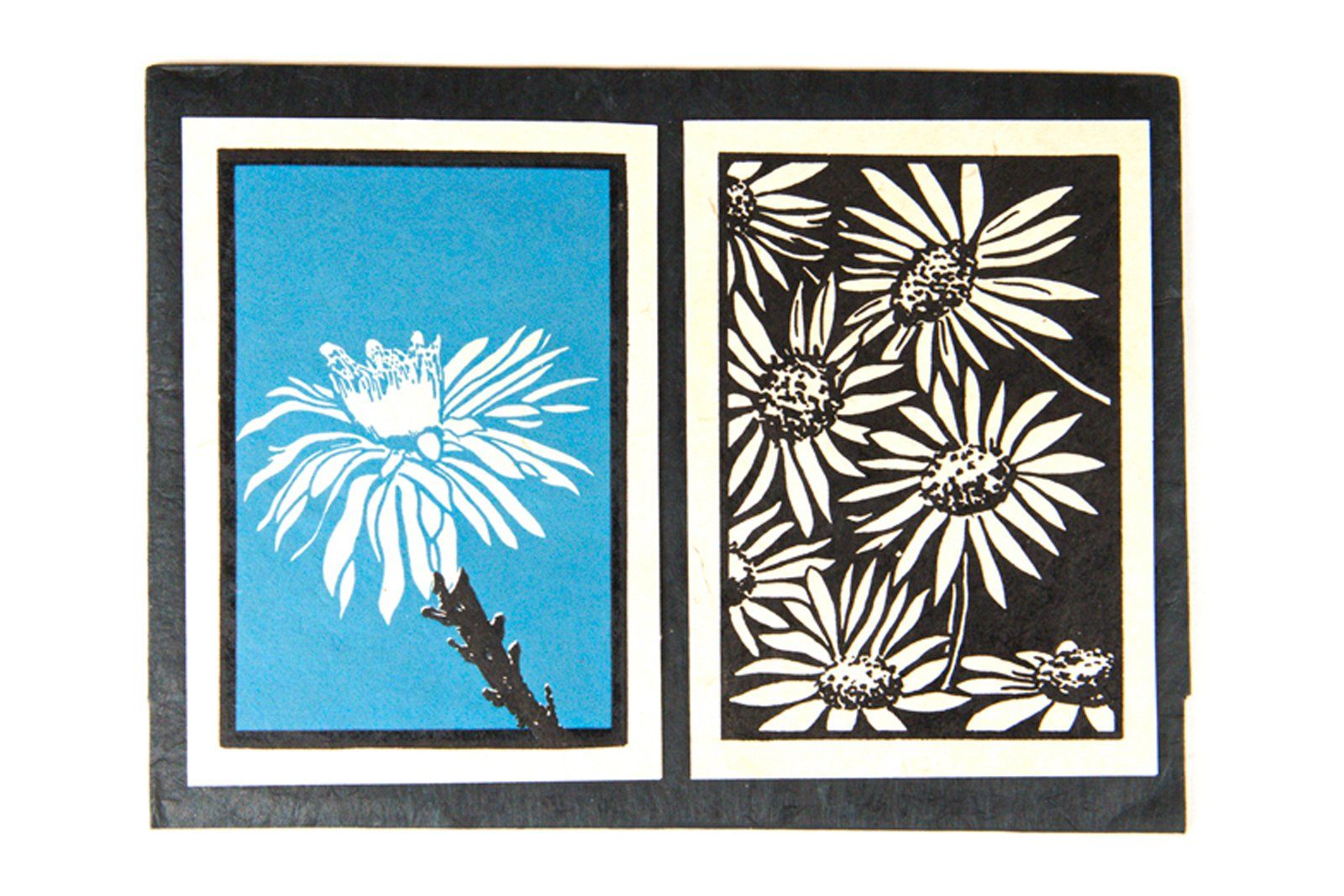 Marigold and Cactus Greeting Cards Paper Bhaktapur Craft Paper 